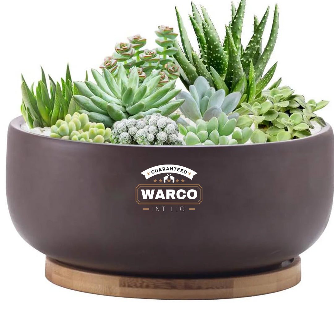 Flower Pot Indoor and Outdoor Planter with Drainage Hole,