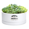 Decorative Bonsai Pot for Indoor Plants, White, 76-Z-A-2